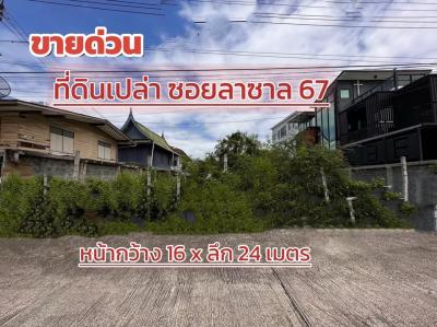 ขายที่ดินบางนา แบริ่ง ลาซาล : ขายด่วน! ที่ดินเปล่า ซอยลาซาล 67 100 ตร.วา ถนนสุขุมวิท 105 บางนา ถมแล้ว เหมาะปลูกบ้าน สร้างหอพัก