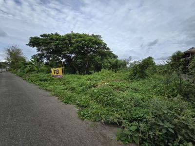 ขายที่ดินเชียงใหม่ : ขาย ที่ดิน ที่ดินเปล่า ใกล้แหล่งชุมชน บ้านเสาหินขาย 1 ไร่