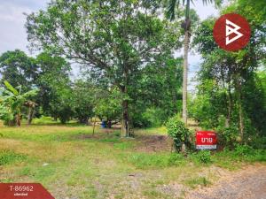 For SaleLandNakhon Nayok : Land for sale, area 3 rai, Pak Phli District, Nakhon Nayok, next to the waterfront.