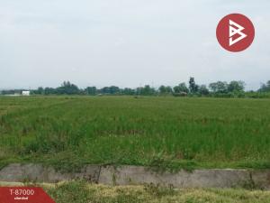 For SaleLandChiang Mai : Land for sale, area 2 rai 2 ngan 27.7 square wah, Mae Taeng, Chiang Mai.