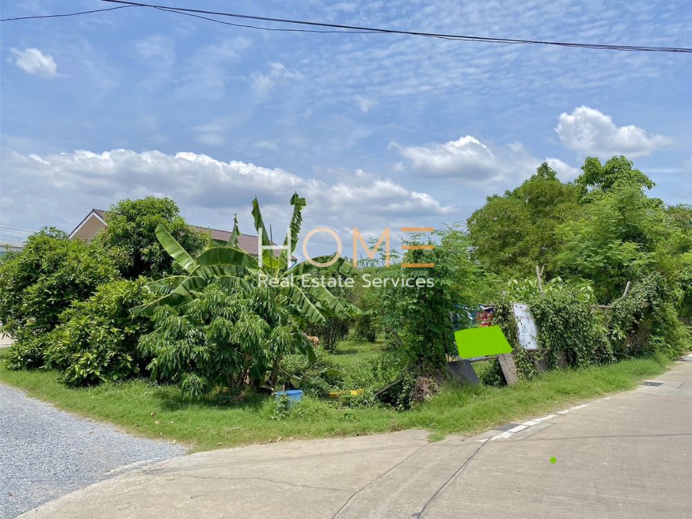 For SaleLandRama5, Ratchapruek, Bangkruai : Vacant land Soi Bang Kruai / (for sale), land Soi Bang Kruai / (SALE) Q021