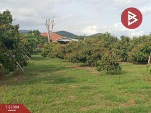 For SaleLandChiang Mai : Land for sale, area 4 rai 3 ngan 88 square wah, Mae Taeng, Chiang Mai.