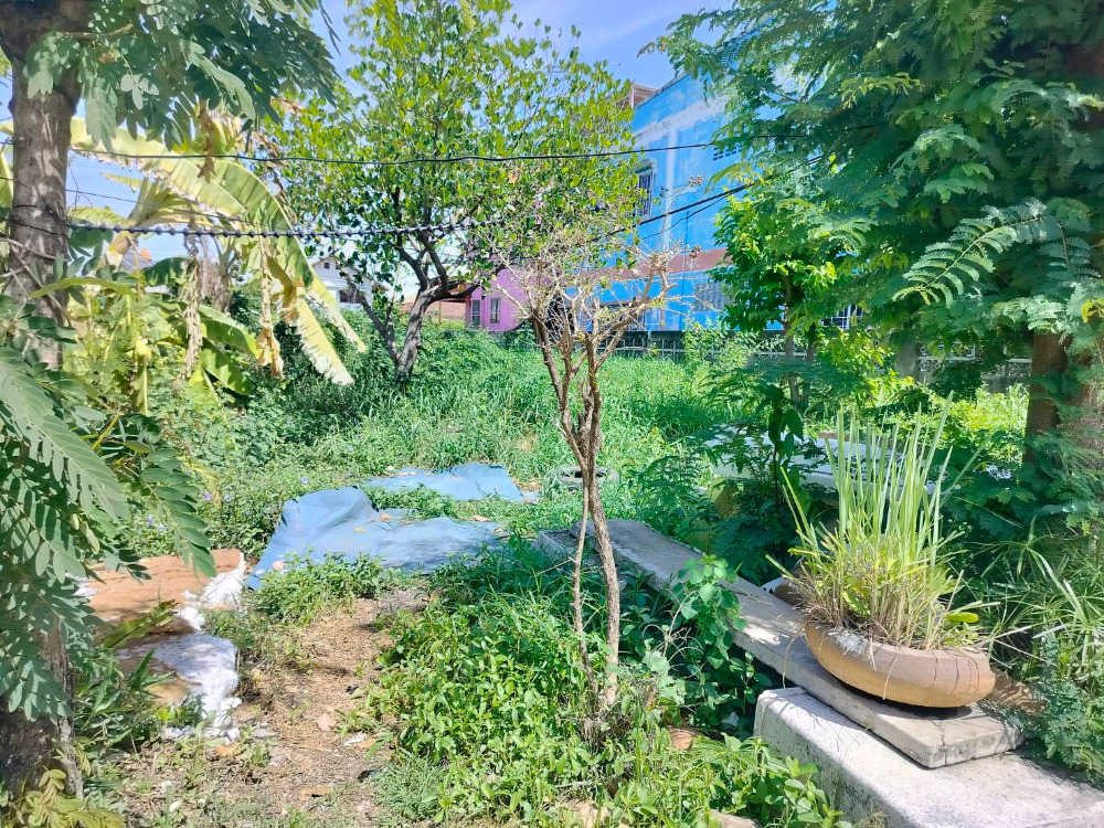 For RentLandPathum Thani,Rangsit, Thammasat : Vacant land in Rangsit area for rent, size 54 square wah, land filled in, located in Soi Rangsit-Nakhon Nayok 24, approximately 1 kilometer from Future Park Rangsit.