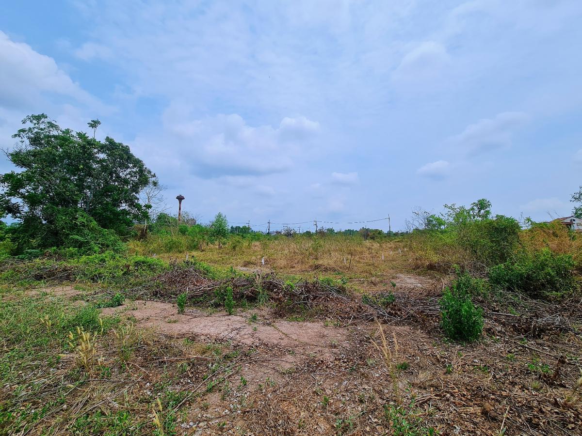 For SaleLandNakhon Nayok : Land for sale, already filled in, Nakhon Nayok Province, near Chang Intersection.