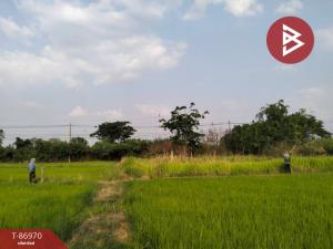 For SaleLandKhon Kaen : Empty land for sale, area 2 ngan, Nong Ruea, Khon Kaen