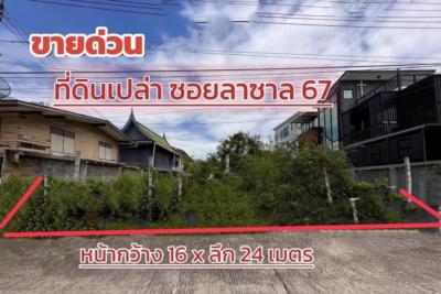 ขายที่ดินบางนา แบริ่ง ลาซาล : ขาย ที่ดิน ถมแล้ว ที่ดิน ลาซาล 100 ตรว รูปสี่เหลี่ยมผืนผ้า