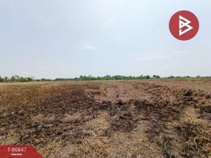 For SaleLandNakhon Nayok : Land for sale, divided into sub-plots, Bang Somboon, Ongkharak, Nakhon Nayok.