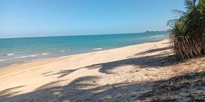 For SaleLandNakhon Si Thammarat : Beach​front​ LAND​ for​ Sale​ in​ Sichon, Nakhon​ Si​ Thammarat.