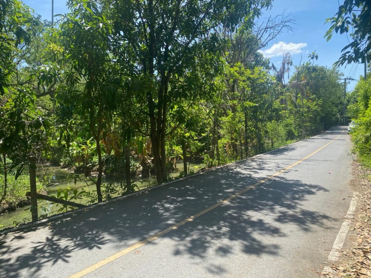 For SaleLandRama5, Ratchapruek, Bangkruai : Land for sale near Sangkhathan Temple, beautiful plot, wide frontage, next to the road on both sides, Soi Bang Phai 15, Nonthaburi.