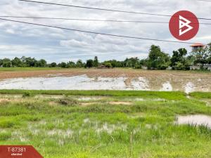 For SaleLandUthai Thani : Land for sale, area 73 rai 87 square wa, Thap Than, Uthai Thani.