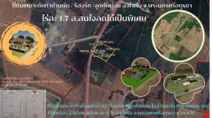 For SaleLandAyutthaya : Selling 2 plots of empty land, 2 rai each, Tha Ruea District, Phra Nakhon Si Ayutthaya Province, total 4 rai.