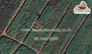 For SaleLandKhon Kaen : Land near Nong Phai Pittayakhom School, Chum Phae District, Khon Kaen, area 80 square meters.