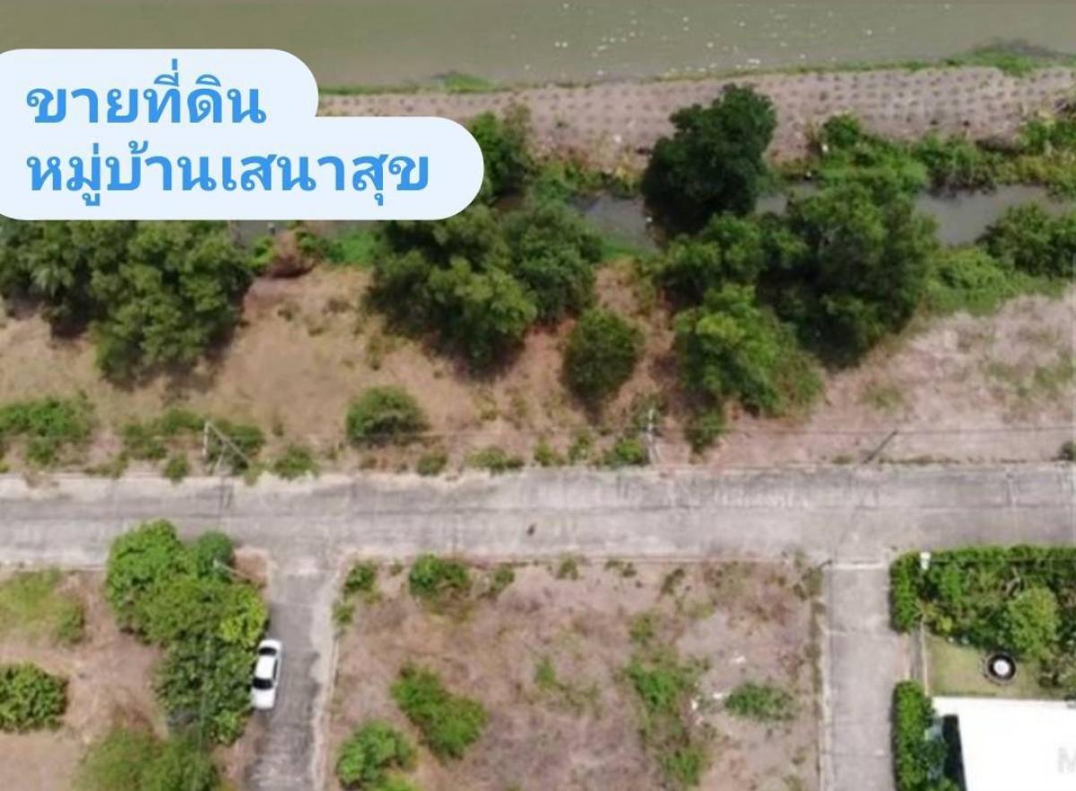 ขายที่ดินปทุมธานี รังสิต ธรรมศาสตร์ : ขายด่วน✅เจ้าของขายเอง ที่ดินจัดสรร หมู่บ้านเสนาสุข เนื้อที่ 150 ตารางวา ถนนรังสิต-นครนายก คลอง 13 อำเภอหนองเสือ ปทุมธานี