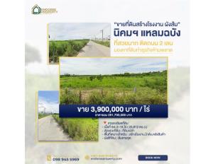 For SaleLandSriracha Laem Chabang Ban Bueng : For inquiries, call: 062-223-9528 Empty land for sale to build a factory, Orange Plan, Bueng Subdistrict, Si Racha District, Chonburi, near Laem Chabang Industrial Estate. Suitable for building factories, warehouses, warehouses.