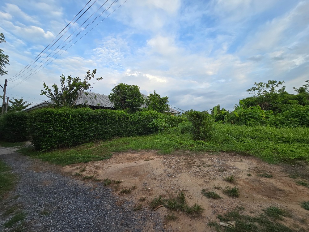 For SaleLandNakhon Nayok : Land for sale, already filled, 200 sq m., Suwanson Soi 6, Mueang Nakhon Nayok District, opposite Nakhon Nayok Provincial Bus Station.