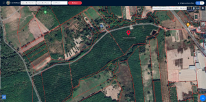 For SaleLandPhitsanulok : Palm plantation for sale, 100 rai++ title deed, near Kwai Noi-Thung Salaeng Luang Park, very good weather, gardening is like traveling.