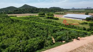 For SaleLandRatchaburi : Land for sale, 15 rai, Ban Nong Yai Kata, Road 3207, Hin Kong, Mueang, Ratchaburi.