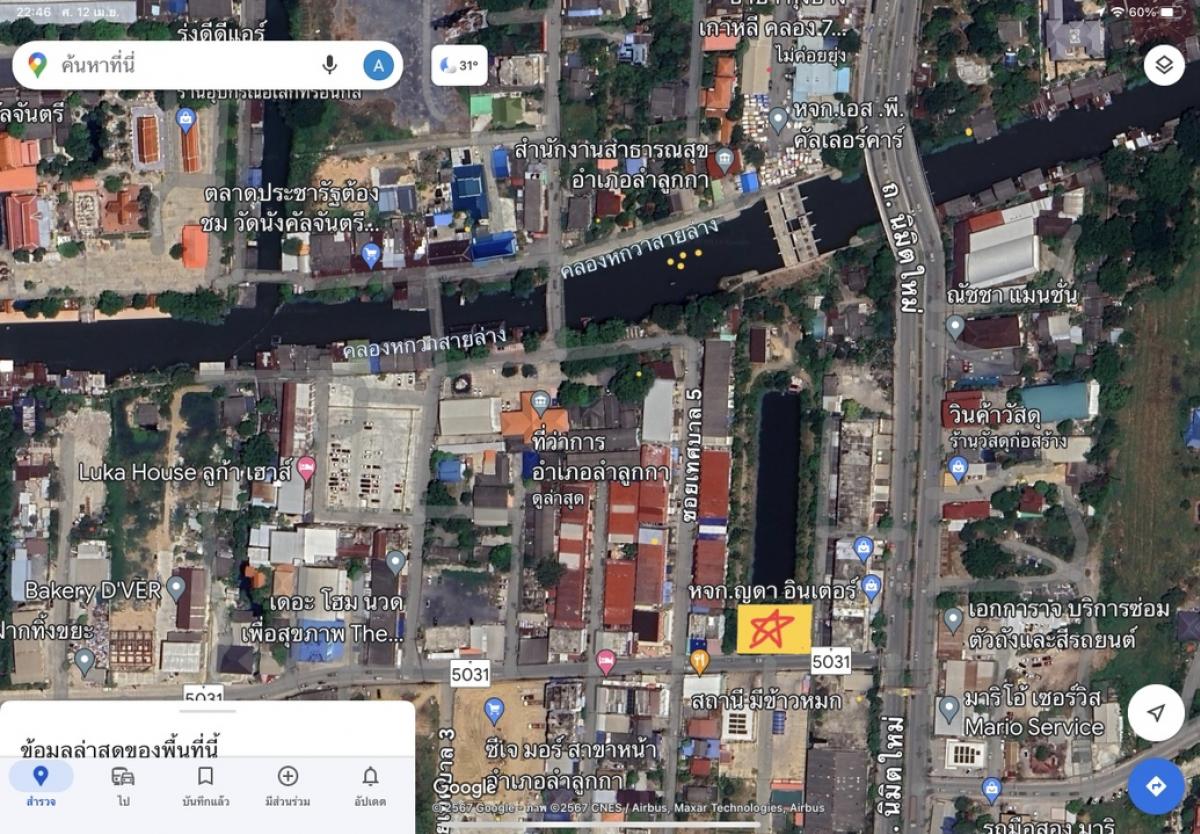 For RentLandPathum Thani,Rangsit, Thammasat : Land for rent next to the road, 300 sq m, Lam Luk Ka Khlong 7, land already fenced.