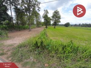 For SaleLandNakhon Phanom : Land for sale, area 6 rai 21 square wa, Na Kae, Nakhon Phanom.