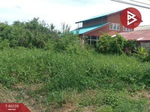 For SaleLandSing Buri : Land for sale, area 1 ngan 53 square wa, Inburi, Singburi