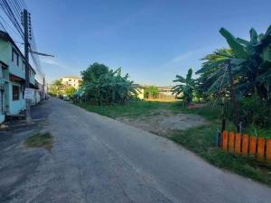 For SaleLandKasetsart, Ratchayothin : Cheap land for sale, 200 sq m, Phahonyothin 55, Bang Khen, Bangkok, only 750 meters from BTS.