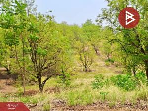 For SaleLandPhetchabun : Land for sale, area 7 rai 42 square wa, Ban Tok Subdistrict, Phetchabun Province