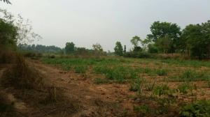 For SaleLandUdon Thani : Empty land for sale, size 11 rai 1 ngan 76 square wah, with title deed, near the Thai-Laos Friendship Bridge, Ban That Subdistrict, Udon Thani.