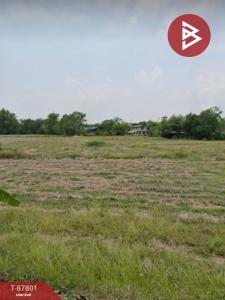 For SaleLandSaraburi : Urgent sale, vacant land, area 2 rai, Nong Khae, Saraburi