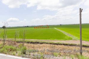 For SaleLandAyutthaya : Land for sale, rice field, Ban Pho Subdistrict, Bang Pa-in District, Phra Nakhon Si Ayutthaya Province.