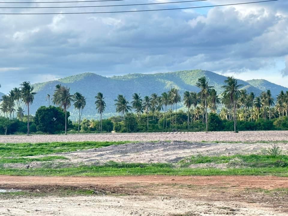 ขายที่ดินชะอำ เพชรบุรี : ชะอำ เพชรบุรี