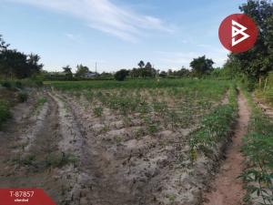 For SaleLandUdon Thani : Land for sale, area 27 rai 3 ngan 22 square wah, Ban Tat, Udon Thani.