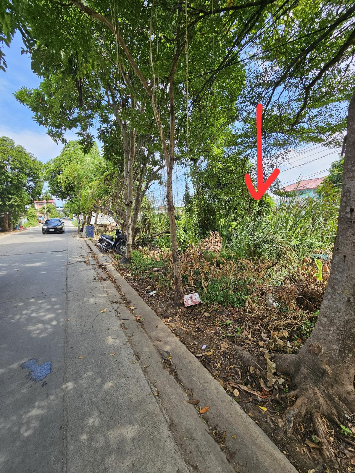 ขายที่ดินพระราม 2 บางขุนเทียน : ที่ดิน 128 ตรว. ซอยเทียนทะเล 20