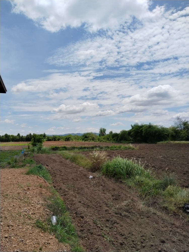 For SaleLandSaraburi : The land has been filled in, the weather is good, suitable for building a dream house.