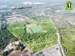 For SaleLandUbon Ratchathani : For sale: 75 rai of agricultural garden with buildings (nearby-beautiful-cheap) Bung Malang Subdistrict, Sawang Wirawong District, Ubon Ratchathani Province