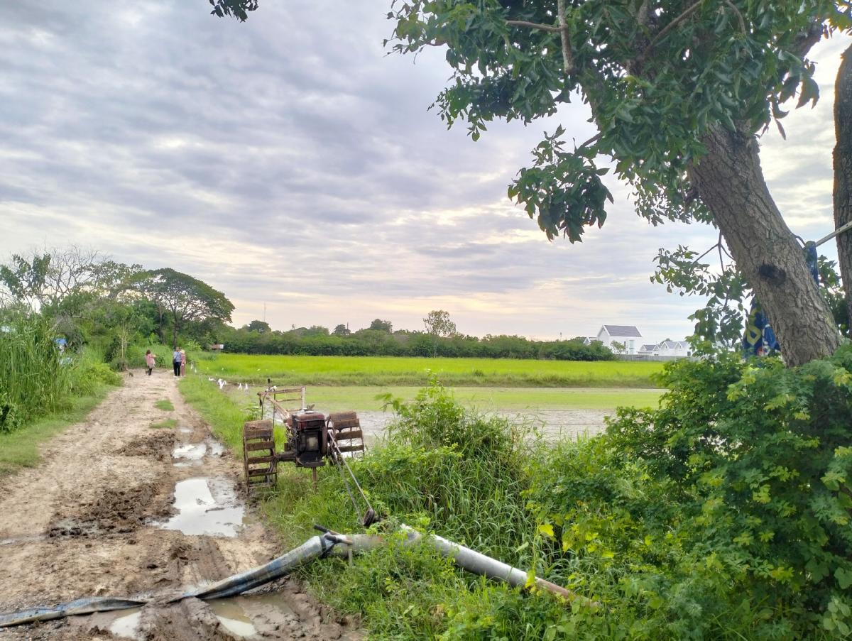 For SaleLandKorat Nakhon Ratchasima : Land for sale, good location