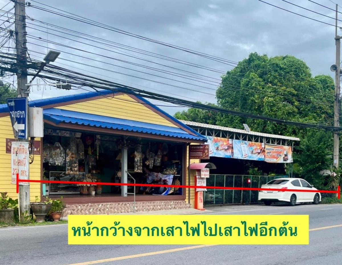 For SaleLandAyutthaya : I can hardly find it anymore!!! Land for sale in beautiful Ayutthaya city island, business location, tourist transit.