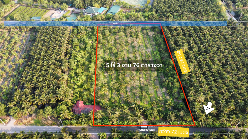 For SaleLandMahachai Samut Sakhon : Land for sale, longan orchard, Ban Phaeo, 5- 3 -76 rai, 10.8 million baht.