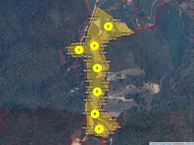 For SaleLandChiang Rai : Land for sale, 7 beautiful mountain view plots, Pa Sang, Mae Chan, Chiang Rai, 53 rai 2 ngan 31 sq m.