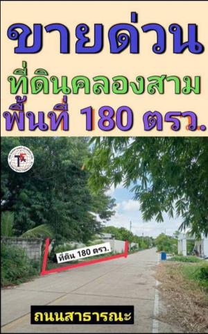 ขายที่ดินปทุมธานี รังสิต ธรรมศาสตร์ : ขายที่ดินคลองหลวง ซอยคลองสาม 10/3-1 ใกล้วัดพระธรรมกาย วัดคลองสาม หมู่บ้าน โรงเรียน แม็คโคร โลตัส มหาวิทยาลัยธรรมศาสตร์ โรงพยาบาล ใกล้ทางด่วน ถนนกาญจนาภิเษก สนามบินดอนเมือง