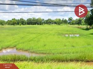 For SaleLandNakhon Phanom : Empty land for sale next to the road, area 7 rai 1 ngan 66 sq m, Kham Thao, Nakhon Phanom.