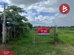 For SaleLandRatchaburi : Land for sale, area 14 rai 1 ngan 71 square wah, Pak Tho, Ratchaburi.