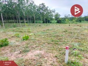 For SaleLandRayong : Empty land for sale urgently, area 1 rai 87 sq m, Pluak Daeng, Rayong.