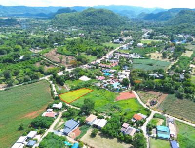 For SaleLandPak Chong KhaoYai : Land for sale in Khao Yai, Moosi Subdistrict, Pak Chong District, 498.9 sq w, sees the most beautiful mountain range.