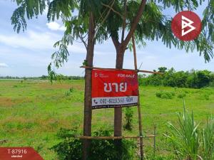 For SaleLandRatchaburi : Empty land for sale, area 11 rai 1 ngan 95 square wah, Hin Kong Subdistrict, Ratchaburi