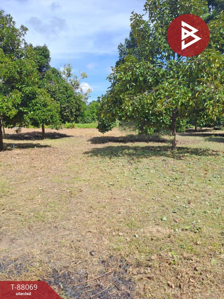 For SaleLandRayong : Land for sale, area 1 rai 3 ngan 49.1 square wah, Samnak Thong, Rayong.