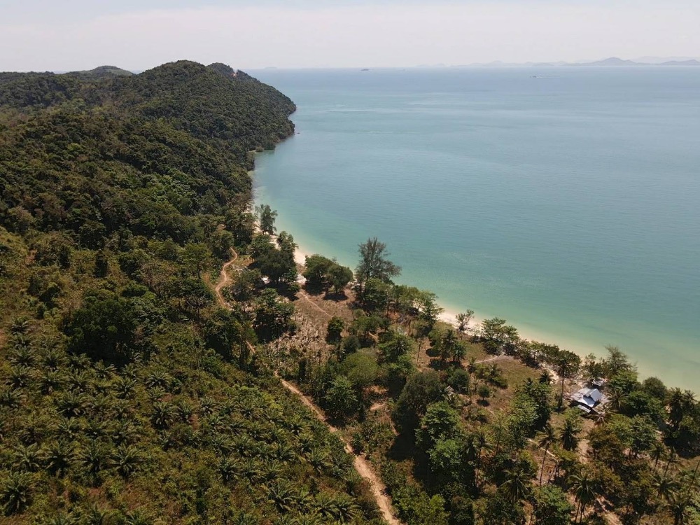 ขายที่ดินพังงา : Own a Piece of Paradise: Prime Beachfronฟt Land on Yao Yai Island's most Stunning Beach!