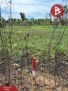 For SaleLandNakhon Nayok : Land for sale, area 50 square meters, Ongkharak, Nakhon Nayok.