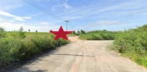 For SaleLandSriracha Laem Chabang Ban Bueng : Land for sale, Bowin Chonburi, 24 Rai, Purple zone