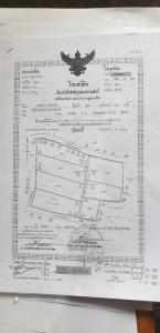 For SaleLandSurin : Empty land for sale Suitable for agriculture, Ban Chom, Sangkha, Surin.