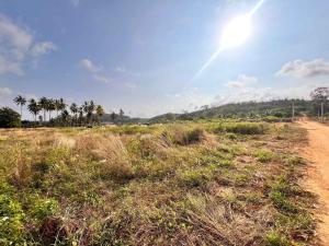 For SaleLandPattaya, Bangsaen, Chonburi : Beautiful land for sale ( Mountain View )